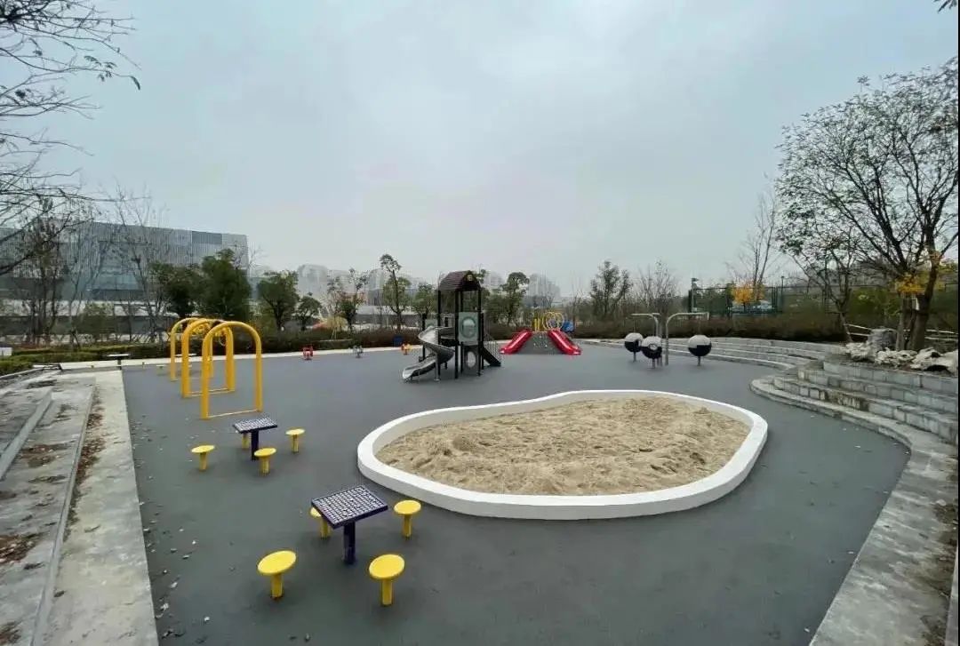 体育公园真人秀,网红体育公园