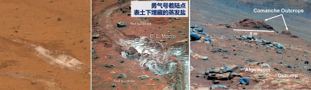 天问少年逐梦未来,天问逐梦进博会