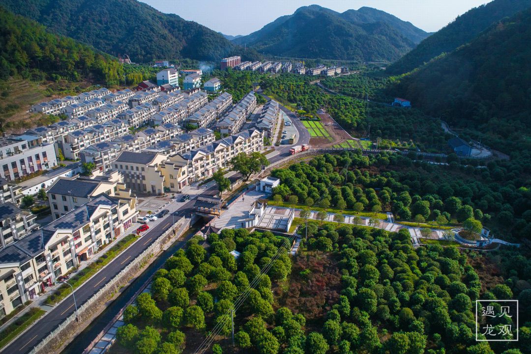 瀵诲勾鍛宠繋榫欏勾鎵撳崱娲诲姩,瀵诲勾鍛冲搧骞村懗鎰熷彈