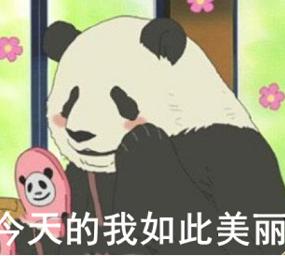 gucci最近在玩什么,gucci又开始出爆款了