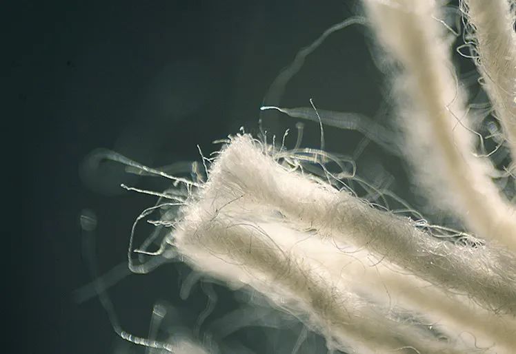 品牌干发帽吸水速干不伤头发,速干帽加厚超强吸水