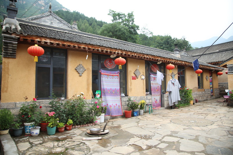 中国脱贫攻坚全纪实,全国脱贫攻坚伟大成功案例