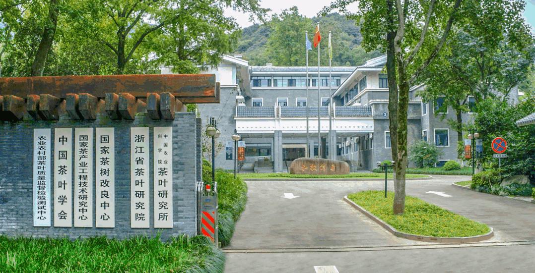 西湖边的茶叶研究所招博士后,杭州市茶叶研究院招聘
