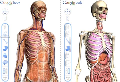 璋锋瓕鍧熷満,璋锋瓕鍧熷満鏈夊寮哄ぇ