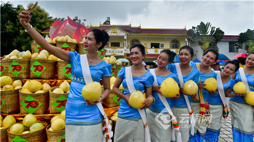 瑞丽口岸十四五规划,云南瑞丽未来十年城市规划