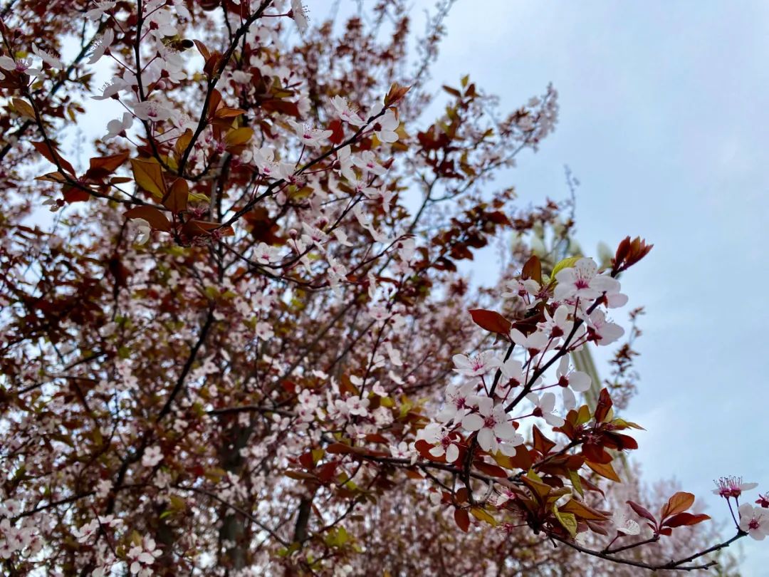 什邡风景好看的地方,什邡附近比较有名的景色