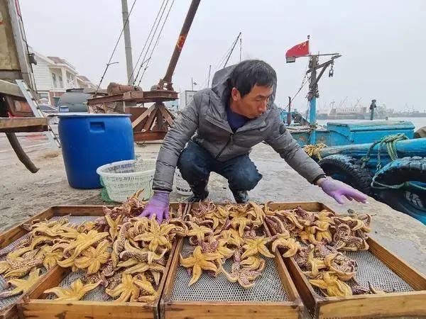 在中国被吃到灭绝的物种,被美国吃绝种的野生动物