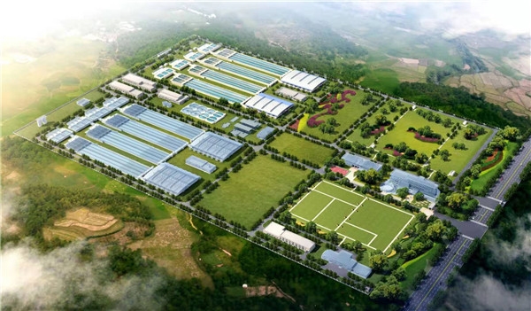 世界水日水质检测,世界水日参观视频