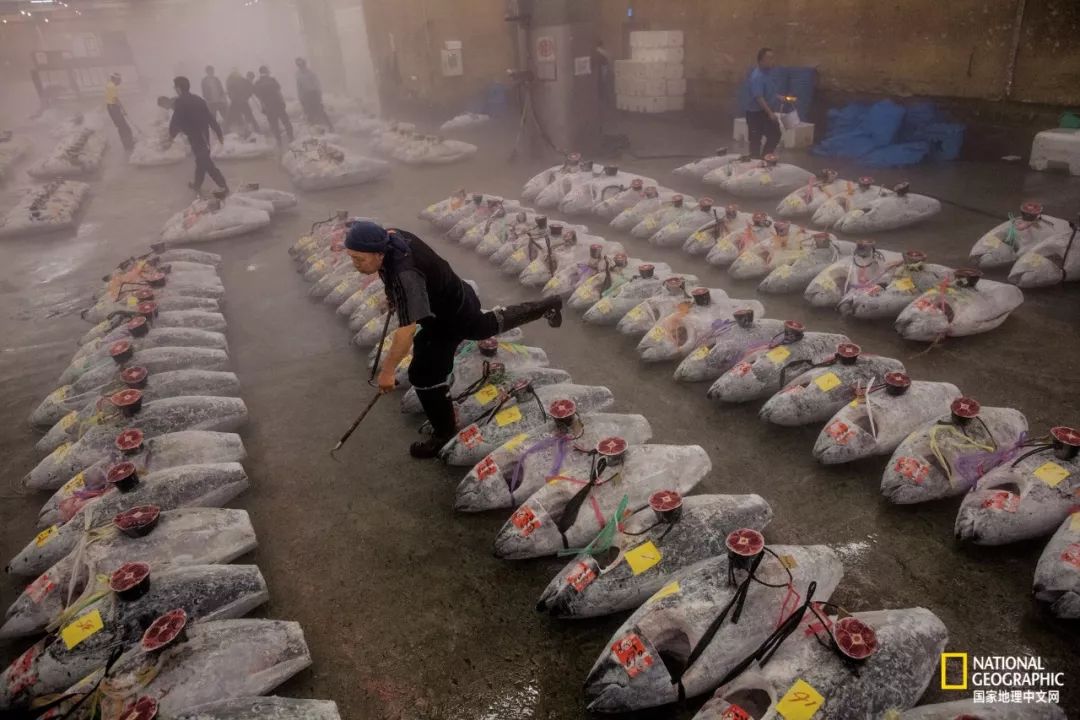 娴疯睔鏈夊瀹夊叏,娴疯睔鍓嶉儴闃叉挒鎻愮ず