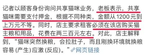 *子骗**又出新套路，可爱小猫沦为「骗钱工具人」