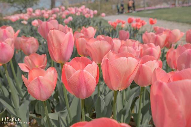绘画我和春天有个约会,亲子绘画我和春天有个约会