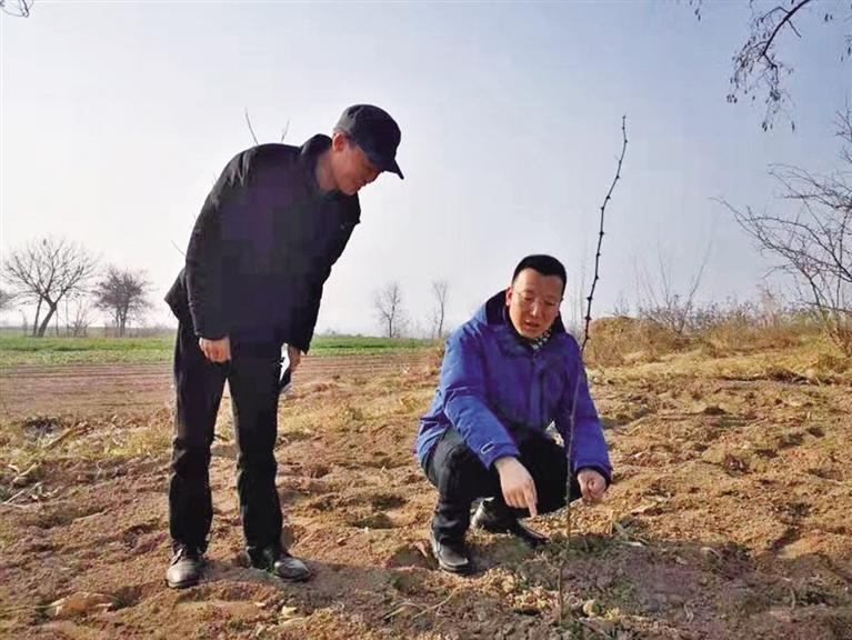 村里来了扶贫人,农村企业家带领全村致富