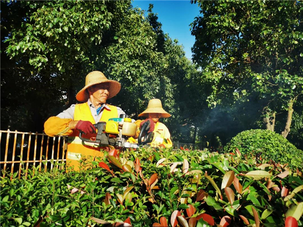 惠民县乡村振兴规划,振兴乡村惠民工程