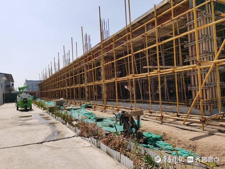 哥俩回老家山东聊城,哥俩回老家创业视频