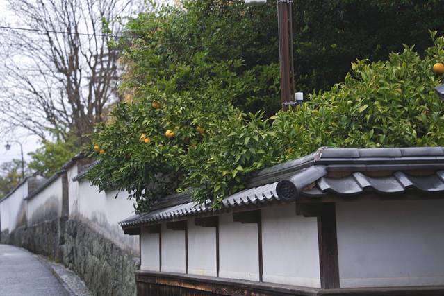 日本山口县十大旅游景点,日本山口风景区有哪些景点