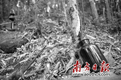 南岭有几个博物馆,南岭古城文化博物馆