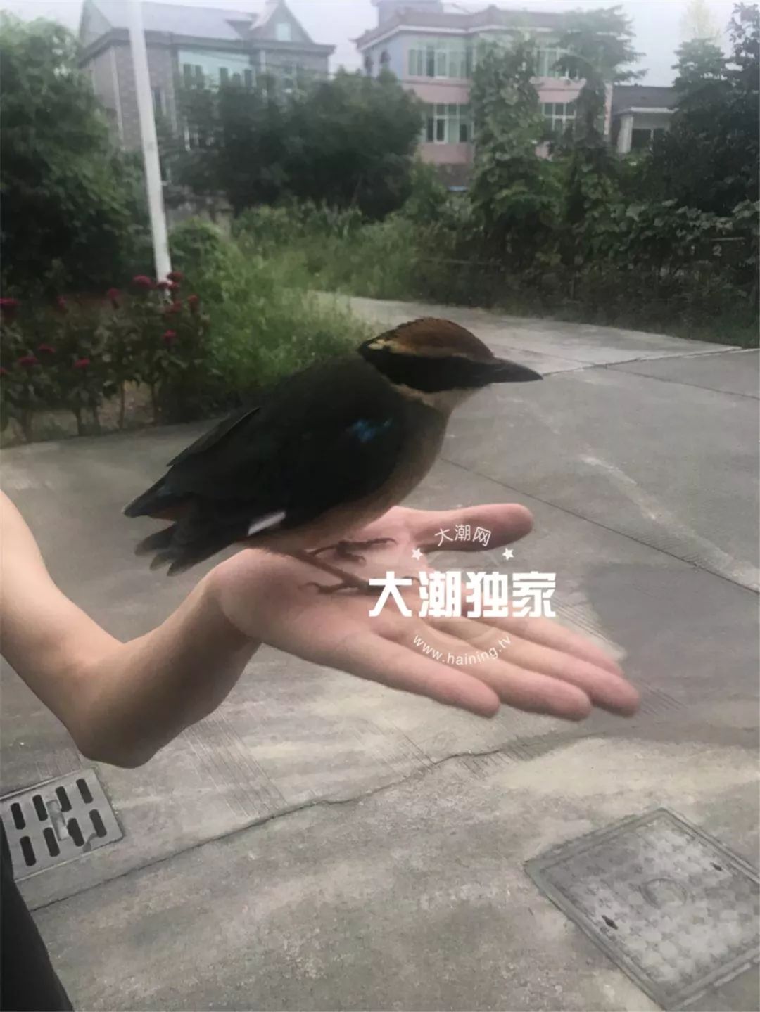 濂冲瓙瀹朵腑鎯婄幇绁炵鐢熺墿,濂冲瓙鍙戠幇鏌滃瓙閲屾湁鎬０