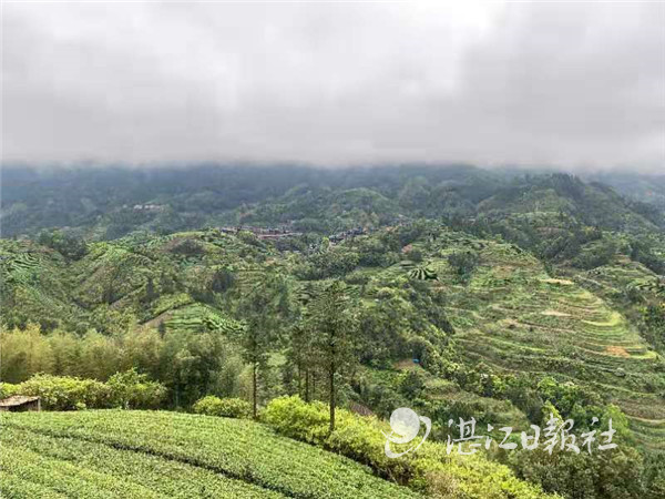 粤桂扶贫协作,粤桂协作谱写扶贫新篇章环江