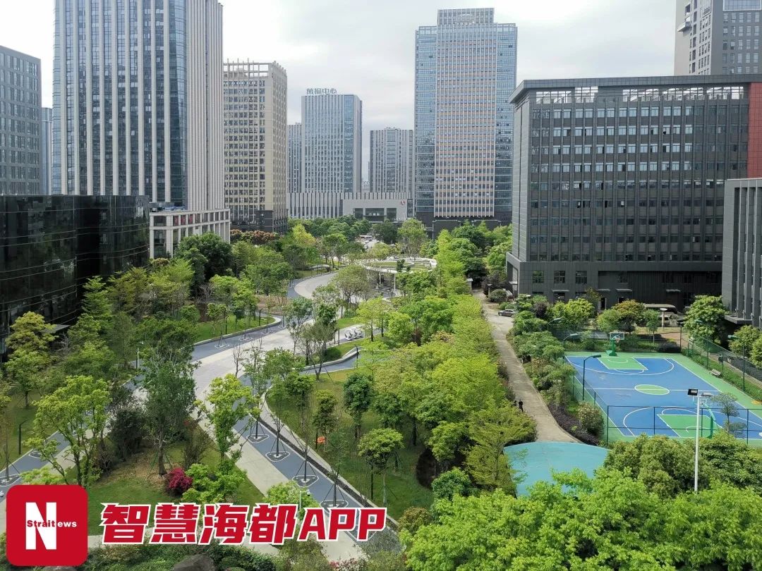 福州十大公园最新消息,福州新建了好几个公园
