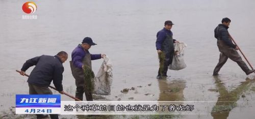 彭泽：发展园艺经济增加致富花样