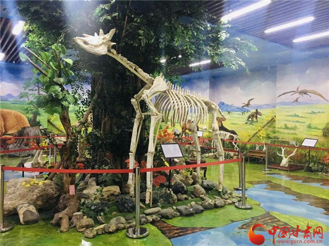 2023临洮紫斑牡丹节开幕预告,临洮县紫斑牡丹