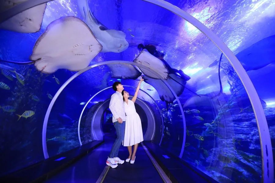 青岛看海旅游自由行攻略,青岛看海旅游攻略