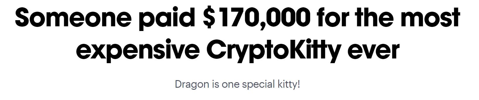 nft通俗易懂的讲解,初学圣经怎么入门