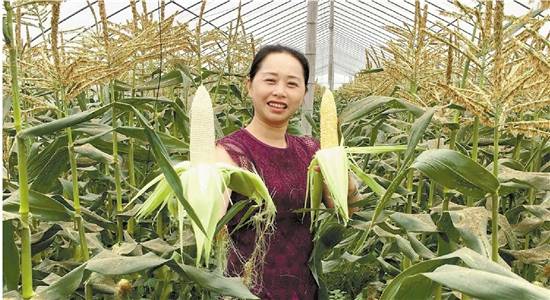 建德市航头镇：数字赋能青年创客合力打响果蔬品牌