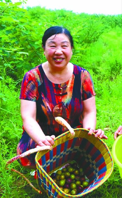 西充农业基地,西充有机农业产业园