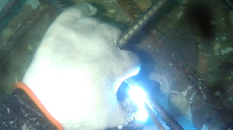 寻隐者不遇故事创编,寻隐者不遇故事演绎