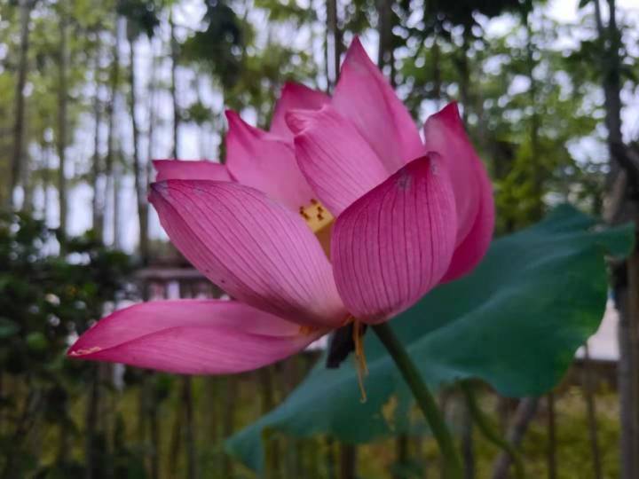 专业摄影师驾到,摄影师驾到统统闪开