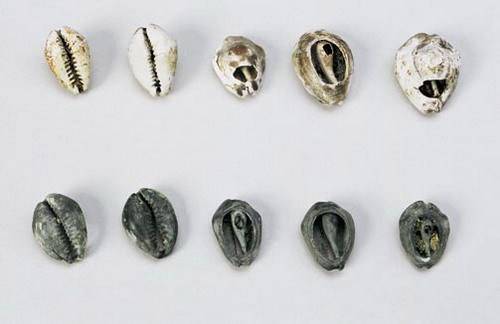 三星堆千年前的四川还是那么安逸,四川天府之国与三星堆