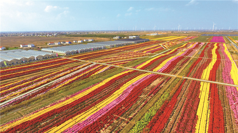 盐城跑马拉松第一名,盐城马拉松对盐城市有好处吗