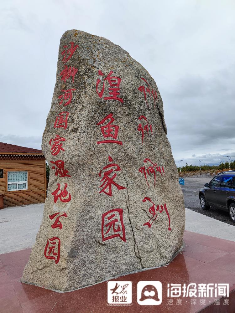 又见刚察｜这就是“聊城力量”！实拍沙柳河畔大美风光，再现“湟鱼洄游”奇景