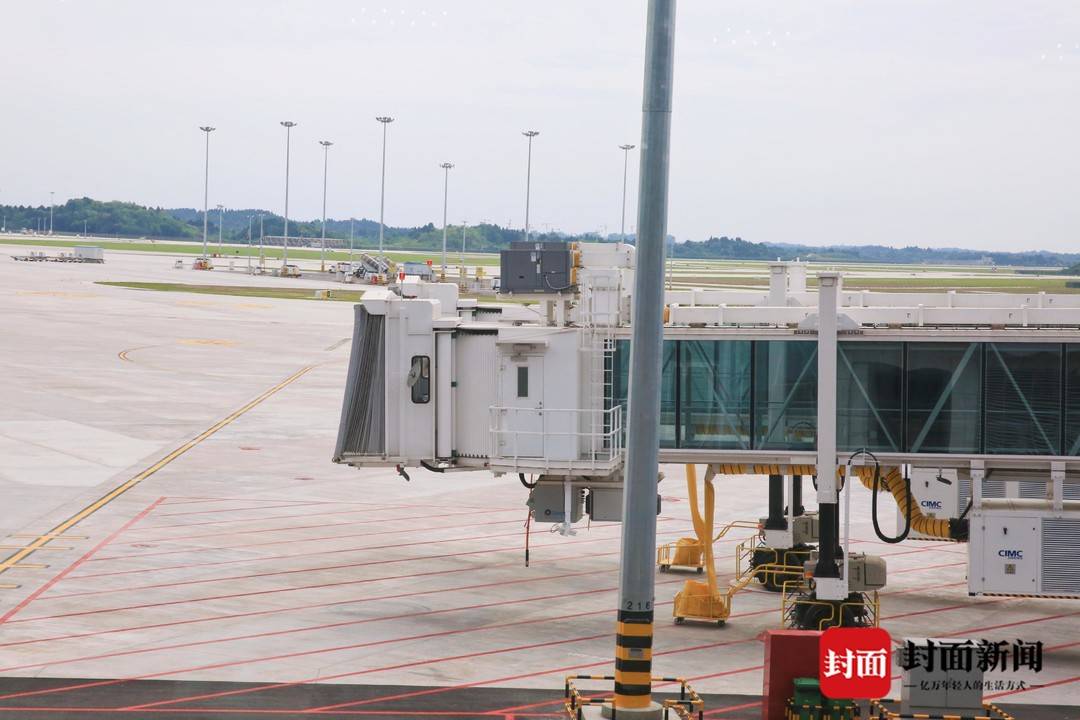 游客视角看神鸟｜大型绿色智慧“面子工程”用了特别材料的玻璃幕墙长这样