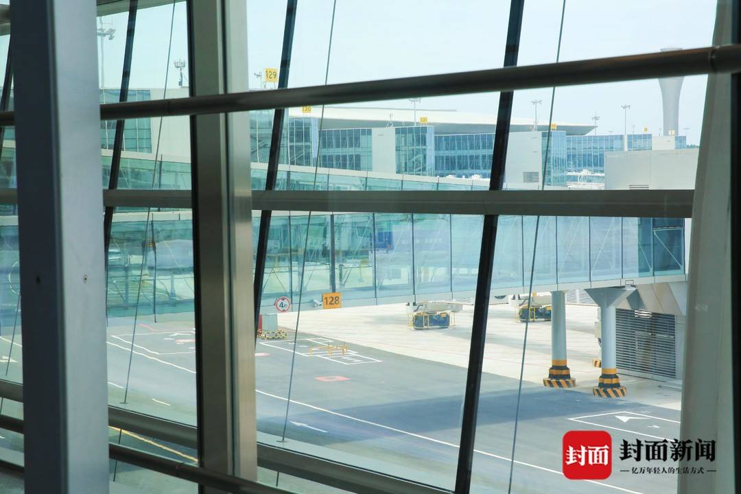 游客视角看神鸟｜大型绿色智慧“面子工程”用了特别材料的玻璃幕墙长这样