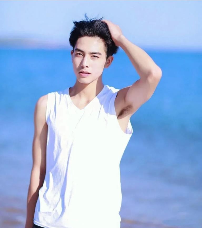 整容失败的男星们,娱乐圈整容艺人