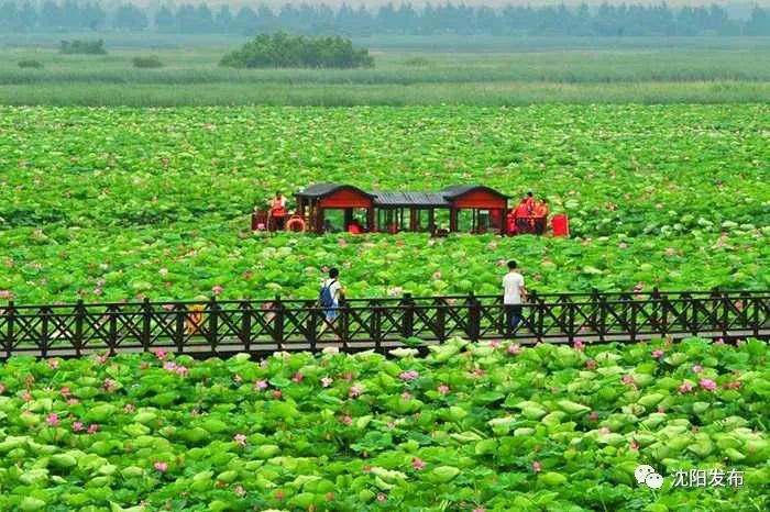 沈阳今天什么日子,沈阳今天人多吗