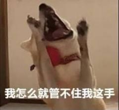 怎么在电脑端刷抖音,怎么在电脑刷网页版抖音