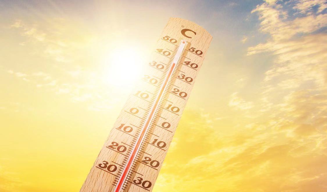 夏季三伏天的养生知识,养生知识处暑养生