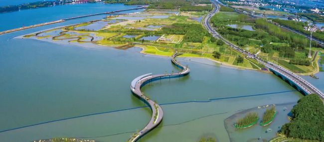 一只虾引发的故事,一只虾引起的矛盾