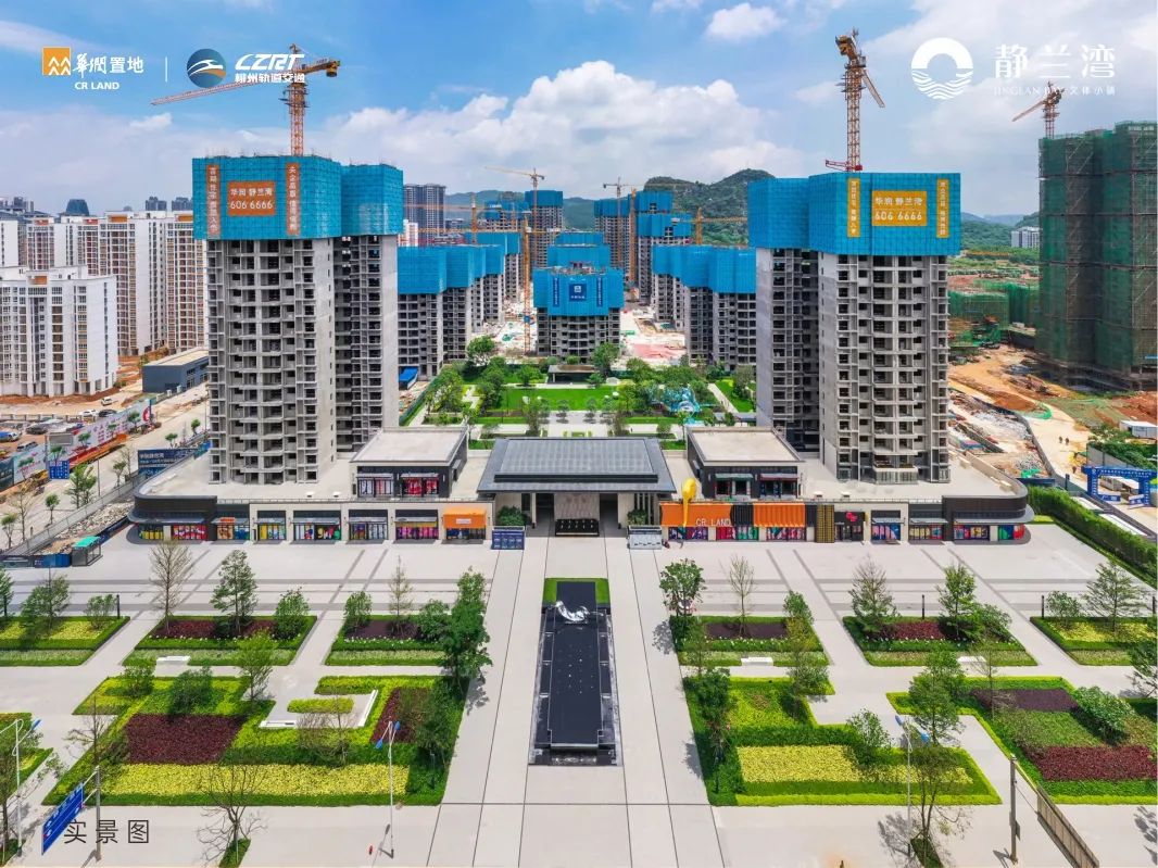 靠实力火的视频,凭实力火起来