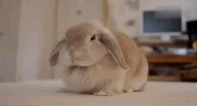 豆瓣与虎扑哪个好,豆瓣和虎扑哪个好