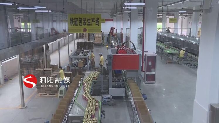 泗阳工业发展,2019年泗阳生产总值