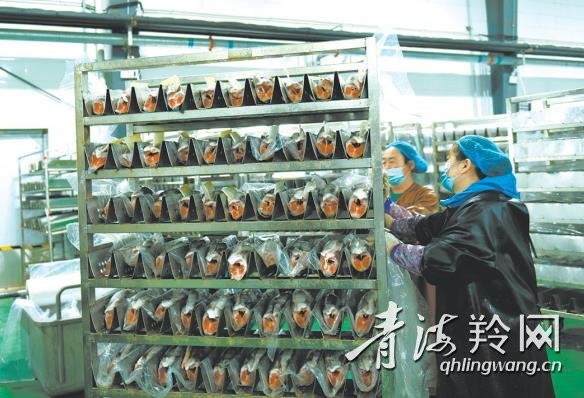 高峡出平湖旅游区,高峡出平湖平湖指哪