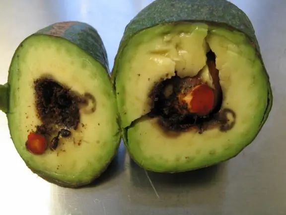 进口水果基础知识大全,进口水果合集推荐品牌