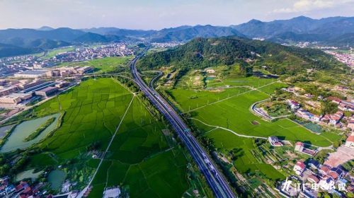 泰和被誉为乌鸡之乡,江西泰和乌鸡的故乡