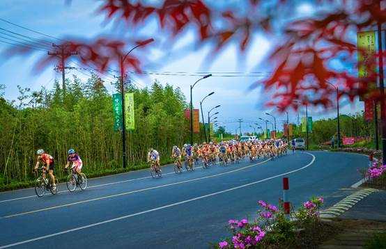 共绘乡村振兴美好画卷,共绘乡村振兴美丽画卷