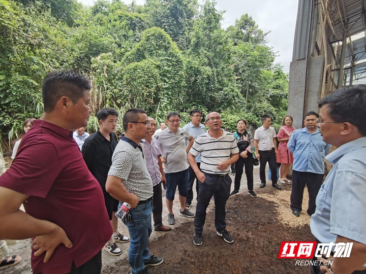 让莓茶产业发展多一份保障——湖南农业大学资环学院助力永定区莓茶产业发展