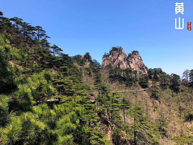 徽州的春天全集,黄山的春天风景